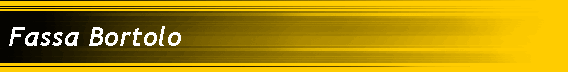 Fassa Bortolo